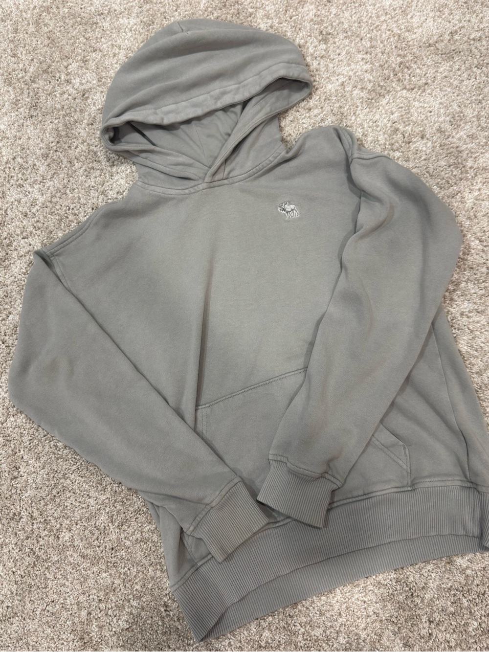 Boys' Abercrombie & Fitch Hooded Sweatshirt in Sage Gray